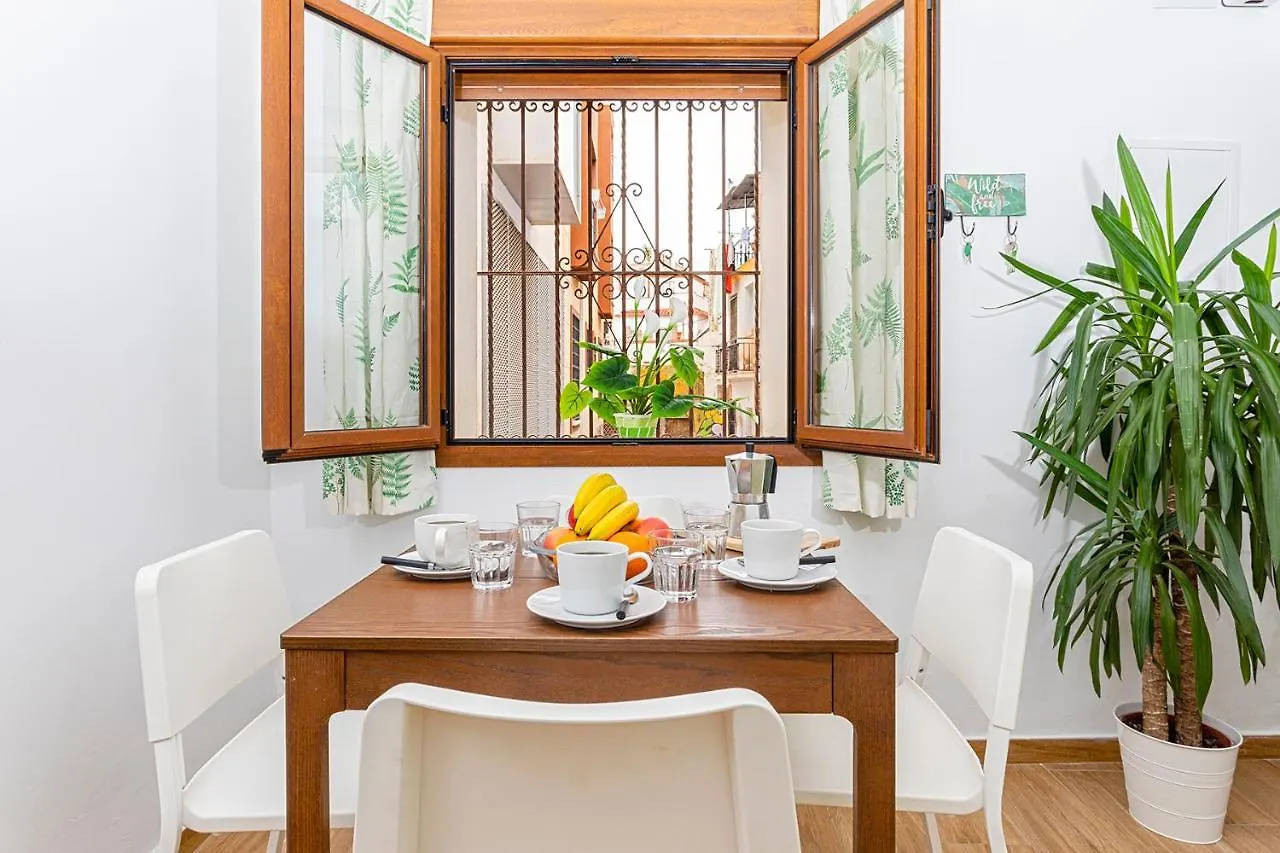 Malaga Center Lagunillas Apartments Spain